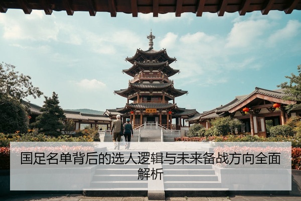 国足名单背后的选人逻辑与未来备战方向全面解析